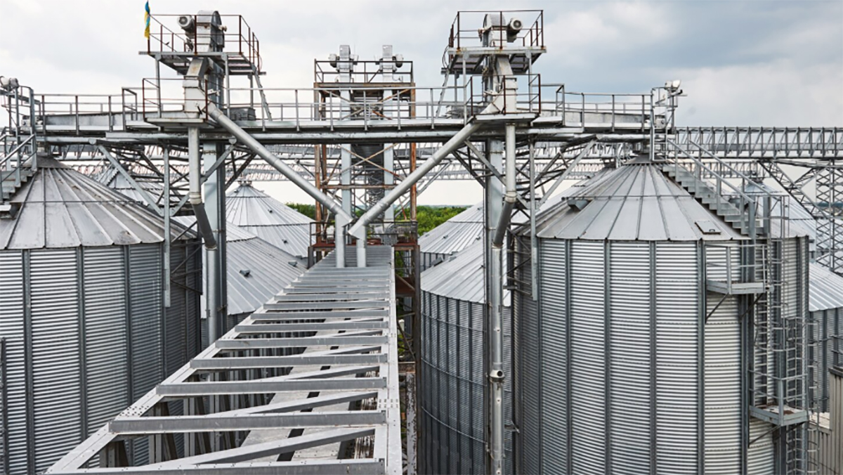 La caída del trabajo privado registrado en Entre Ríos tiene refugio en el sector agroindustial