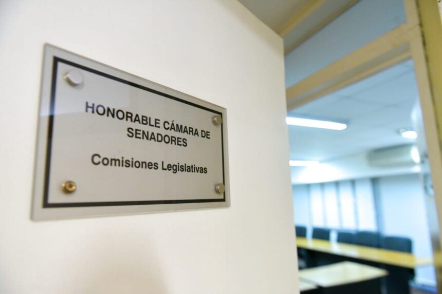 Reforma previsional: luego del debate se espera el dictamen de senadores