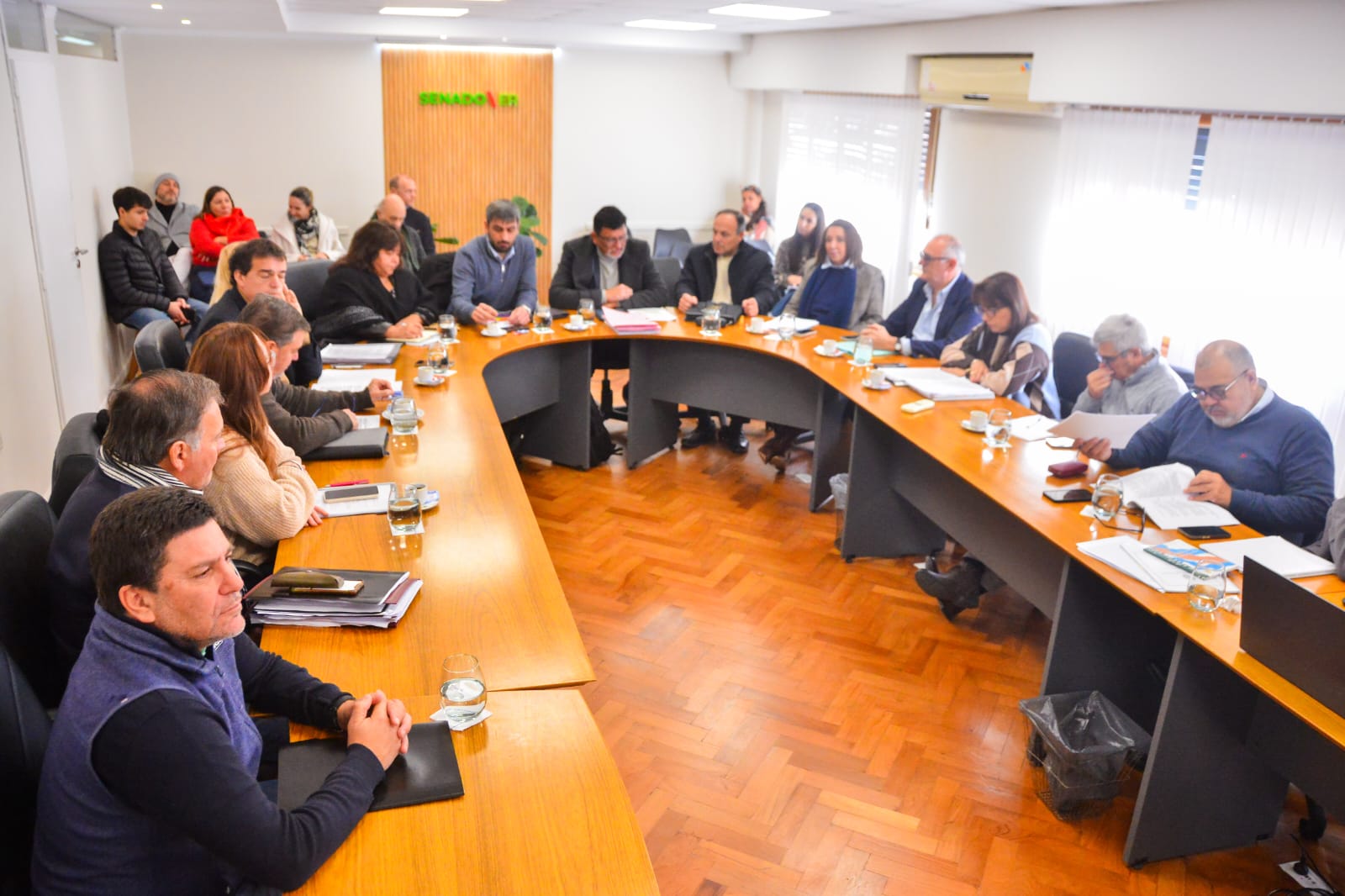 Reforma previsional: senadores emitieron dos dictámenes y serán debatidos en el recinto